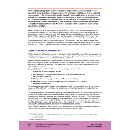 Intersectionality in Primary Prevention - Page 5