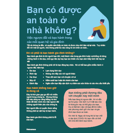 Are you safe at home? Vietnamese flyer – tiếng Việt