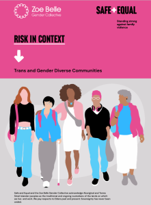Risk in Context Trans and Gender Diverse Communities | Safe and Equal